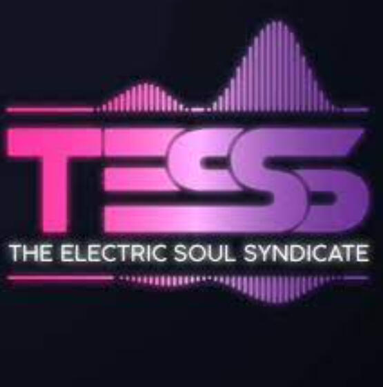 The Electric Soul Syndicate